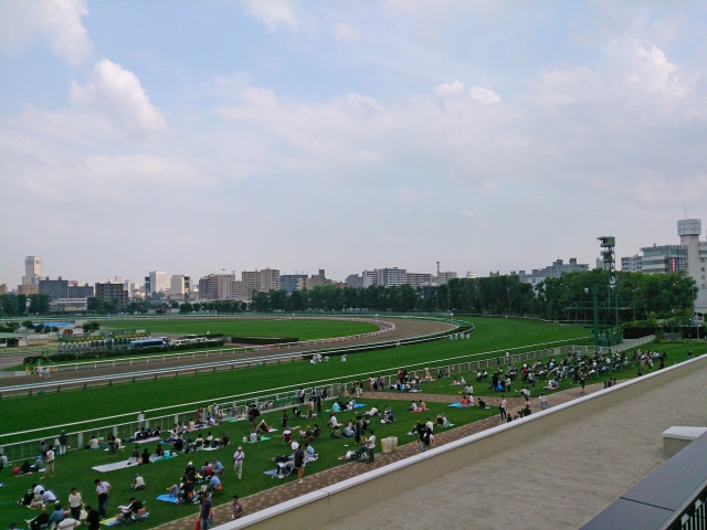 函館と札幌の競馬場の違いは何？特徴&傾向もご紹介！